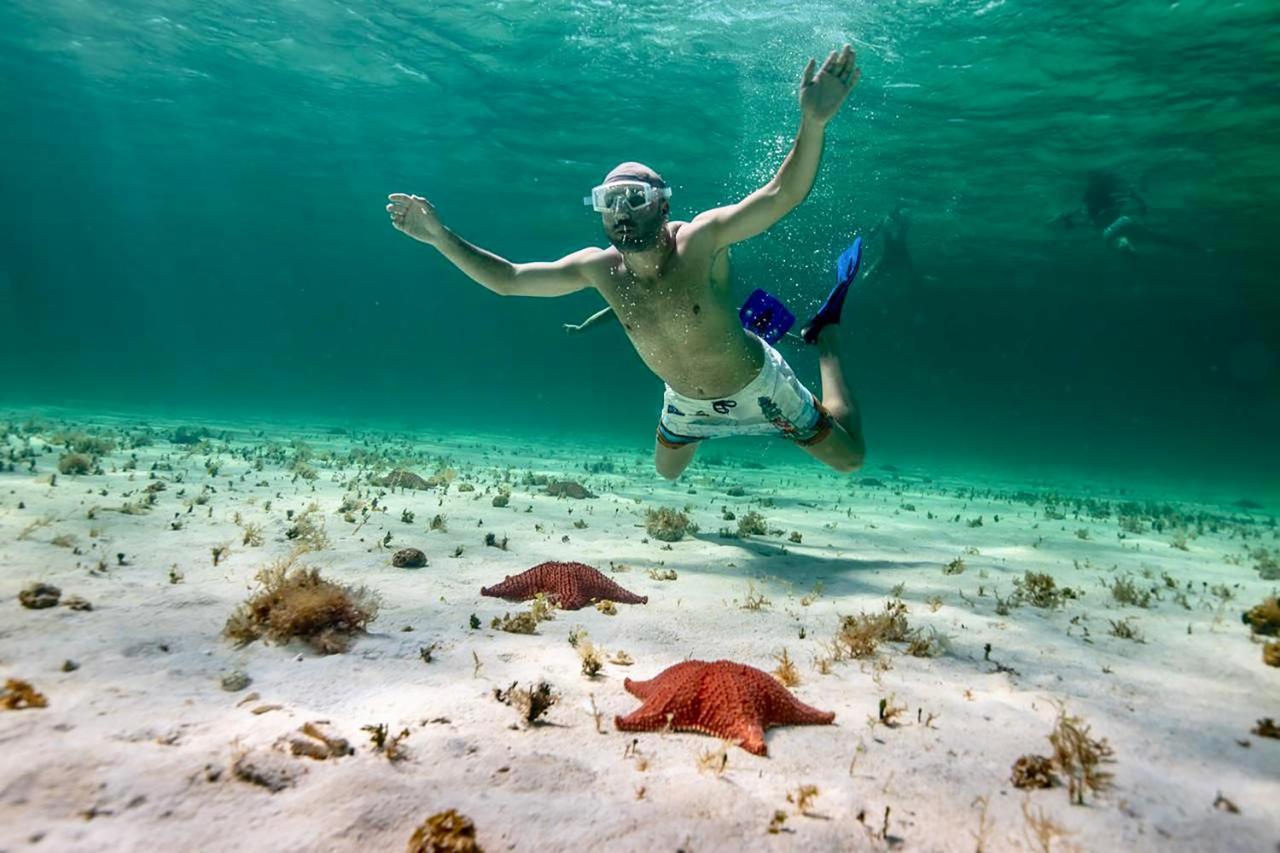 Albatros By Bedsfriends (Adults Only) Hotell Cozumel Exteriör bild