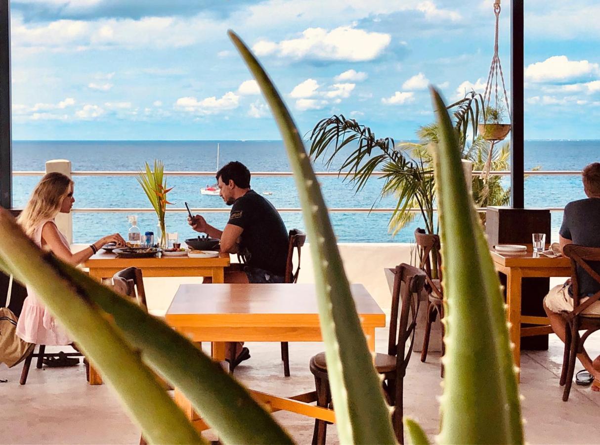 Albatros By Bedsfriends (Adults Only) Hotell Cozumel Exteriör bild