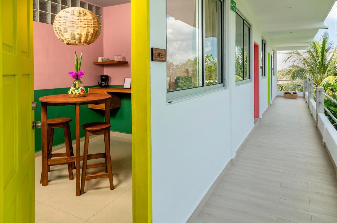 Albatros By Bedsfriends (Adults Only) Hotell Cozumel Exteriör bild